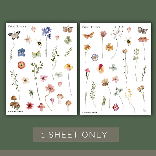 DRIED FLOWERS | Planner Stickers | Deco Stickers | Scrapbook Decoration | Journaling Stickers | Diary Stickers | Hobonichi Stickers